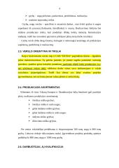 Verslo planas: grybų ir uogų supirkimas, importas, perdirbimas, realizacija UAB "ERTRA" 4 puslapis