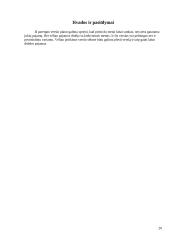 Verslo planas: juodųjų serbentų auginimas IĮ "Serbentas" 20 puslapis