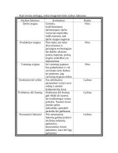 Verslo planas: kavinė "Kleopatra" 11 puslapis