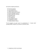 Verslo planas: kavinė "Kleopatra" 8 puslapis