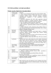 Verslo planas: kompiuterių kursai "Visiems" 12 puslapis