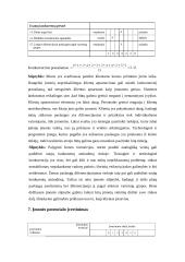 Verslo planas: kompiuterių kursai "Visiems" 8 puslapis