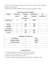 Verslo planas: laidojimo namai IĮ "Liūdesio simfonija" 10 puslapis