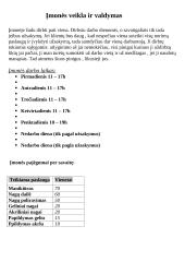 Verslo planas: manikiūrininko paslaugos UAB "Nailart" 6 puslapis