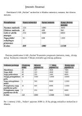 Verslo planas: manikiūrininko paslaugos UAB "Nailart" 7 puslapis