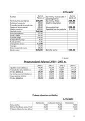 Verslo planas: picerija UAB "Pizza pomodoro" 12 puslapis