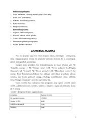 Verslo planas: picerija UAB "Pizza pomodoro" 6 puslapis