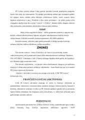 Verslo planas: picerija UAB "Pizza pomodoro" 8 puslapis