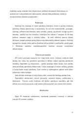 Verslo planas: picerija UAB "Pizza pomodoro" 10 puslapis