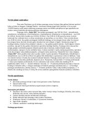 Verslo planas: pramogų centras "Enjoy life!" 2 puslapis