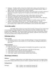 Verslo planas: pramogų centras "Enjoy life!" 3 puslapis