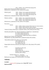 Verslo planas: pramogų centras "Enjoy life!" 4 puslapis