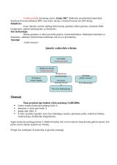 Verslo planas: pramogų centras "Enjoy life!" 5 puslapis