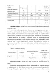 Verslo planas: priekabų  gamyba UAB "AISIP" 11 puslapis