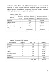 Verslo planas: priekabų  gamyba UAB "AISIP" 12 puslapis