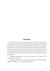 Verslo planas: priekabų  gamyba UAB "AISIP" 13 puslapis