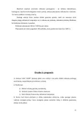 Verslo planas: priekabų  gamyba UAB "AISIP" 14 puslapis