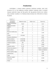 Verslo planas: priekabų  gamyba UAB "AISIP" 5 puslapis