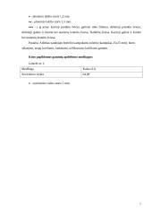 Verslo planas: priekabų  gamyba UAB "AISIP" 6 puslapis