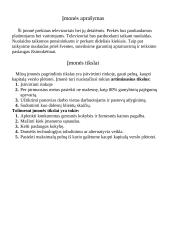 Verslo planas: televizorių prekyba UAB "Vizija" 3 puslapis