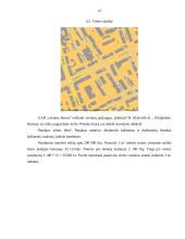 Verslo planas: vertimų biuras UAB "Vertimų biuras" 12 puslapis