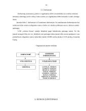 Verslo planas: vertimų biuras UAB "Vertimų biuras" 14 puslapis