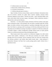 Verslo planas: vertimų biuras UAB "Vertimų biuras" 8 puslapis