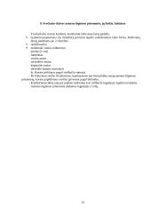 Viešbučių praktika: Holiday Inn Vilnius 13 puslapis