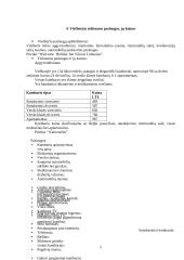 Viešbučių praktika: Holiday Inn Vilnius 5 puslapis