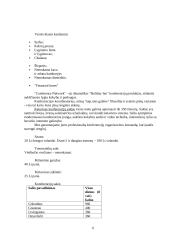 Viešbučių praktika: Holiday Inn Vilnius 6 puslapis