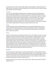 XIX amžiaus pabaiga ir XX amžiaus pradžia Lietuvos pajūrio etnografinė žvejo sodyba 3 puslapis