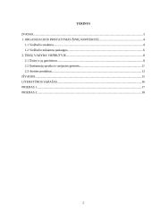 Žinių vadyba viešbutyje "Magnus" 2 puslapis