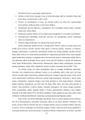 Žinių vadyba viešbutyje "Magnus" 12 puslapis