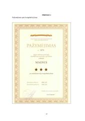 Žinių vadyba viešbutyje "Magnus" 17 puslapis