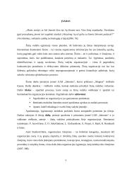 Žinių vadyba viešbutyje "Magnus" 3 puslapis