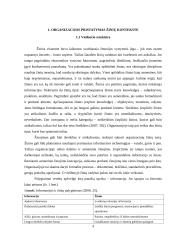 Žinių vadyba viešbutyje "Magnus" 4 puslapis