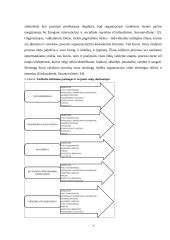 Žinių vadyba viešbutyje "Magnus" 7 puslapis
