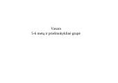 Darželio vasaros užsiėmimų programa