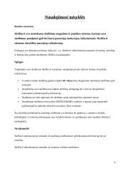 Pagrindinių įmonės dokumentų pavyzdžiai 4 puslapis