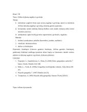 Geografijos pamokos išplėstinis planas 2 puslapis