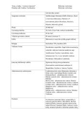 Geografijos pamokos planas: "Gudija - Lietuvos kaimynė" 3 puslapis