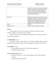 Geografijos pamokos planas: "Gudija - Lietuvos kaimynė" 4 puslapis