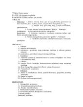 Geografijos pamokos planas: Žemės rutulys