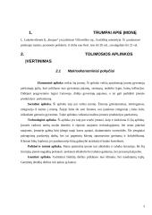 Įmonės išorinės aplinkos analizė: parduotuvė "Krupas" 3 puslapis