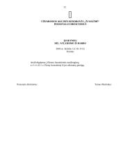 Įmonės veiklos dokumentai: UAB "Žvaigždė" 11 puslapis