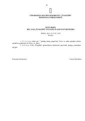 Įmonės veiklos dokumentai: UAB "Žvaigždė" 17 puslapis