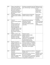 Istorijos pamokos analizė: viduramžiai 2 puslapis