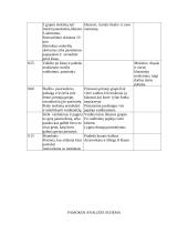 Istorijos pamokos analizė: viduramžiai 3 puslapis