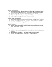 Istorijos pamokos analizė: viduramžiai 4 puslapis