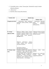 Istorijos pamokos planas-konspektas: Egiptiečių pasiekimai 2 puslapis